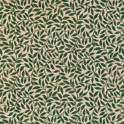 Quattro Vite Vineyard swatch