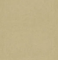 Whitewell Chino swatch