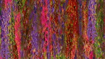 Contemporary Velvet Wister Velvet Print Fuchsia swatch