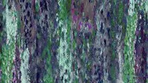 Contemporary Velvet Wister Velvet Print Lilac swatch
