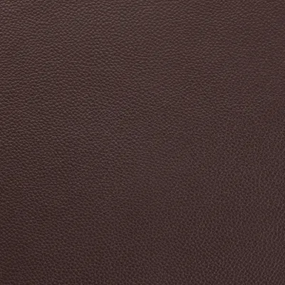 Shelly Mocca swatch