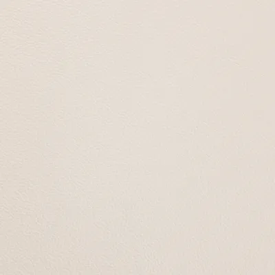 Shelly White swatch