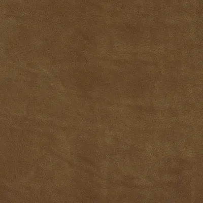 Cordoba Camel swatch
