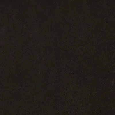 Cordoba Espresso swatch
