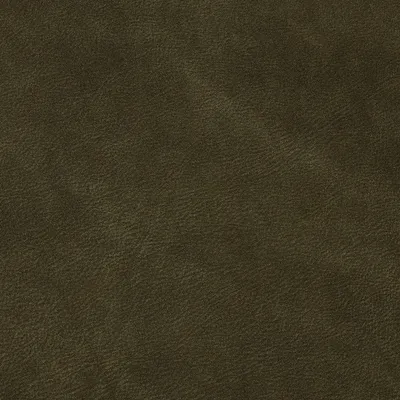 Cordoba Army Green swatch