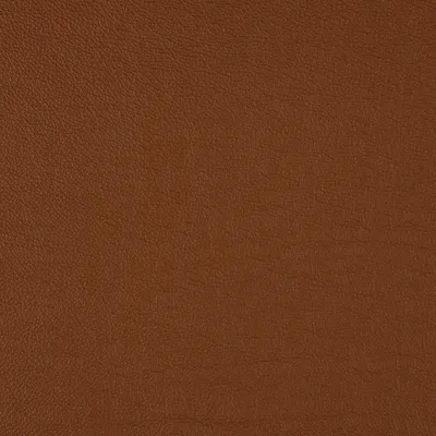 Shelly Sunset swatch