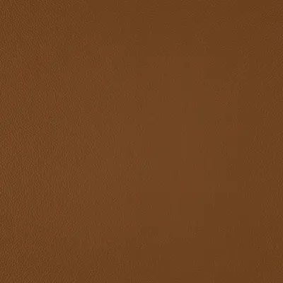Shelly Camel swatch