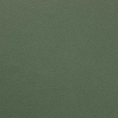 Shelly Lichen Green swatch