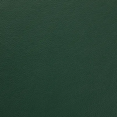 Shelly Jade swatch