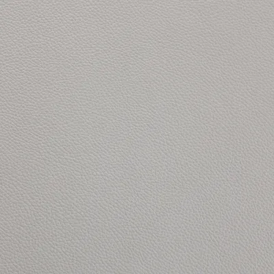 Shelly Silver Grey swatch