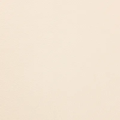 Shelly Cottonseed swatch