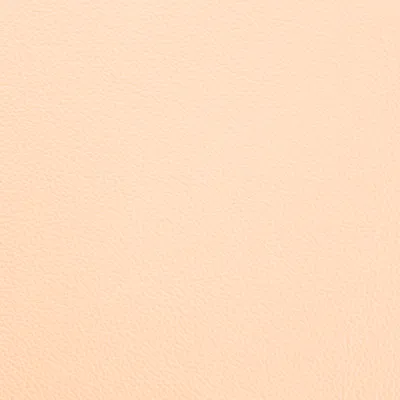 Shelly Ivory swatch
