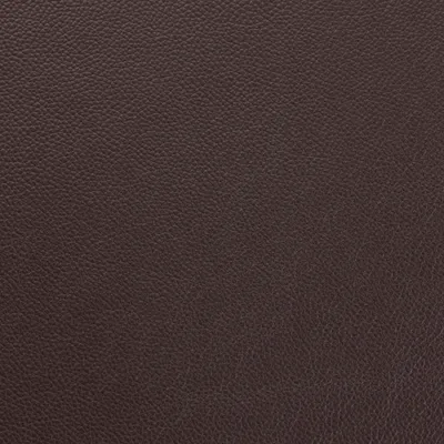 Shelly Dark Chocolate swatch