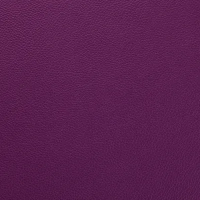 Shelly Wineberry swatch