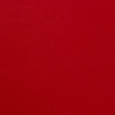 Shelly Flame Red 5073 swatch