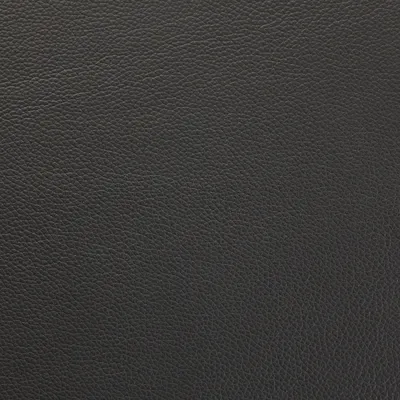 Shelly Steel 5065 swatch