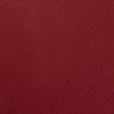 Shelly Burgundy 5060 swatch