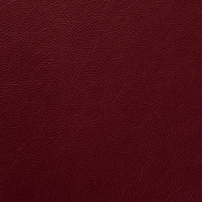 Shelly Dark Grape swatch