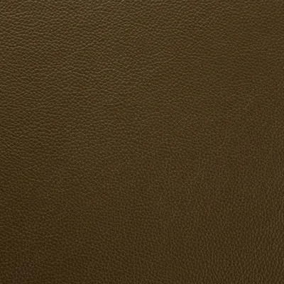 Shelly Sage swatch