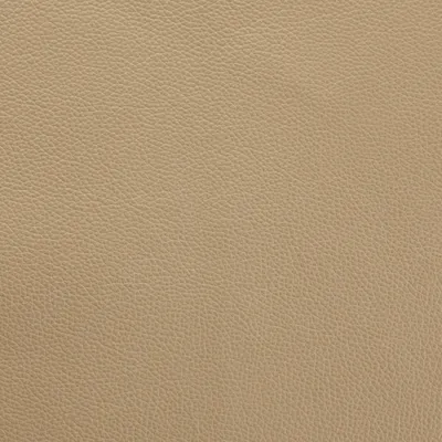 Shelly Ash swatch