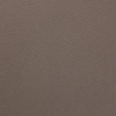 Shelly Silver Birch 5066 swatch