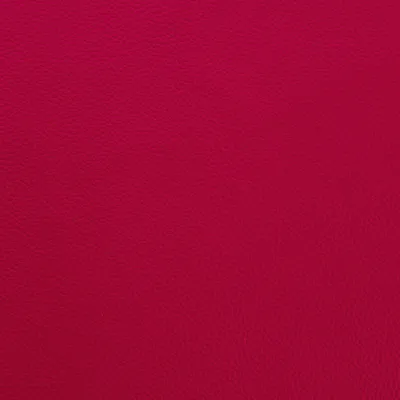 Shelly Anenome swatch