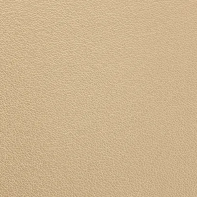 Shelly Pebble swatch