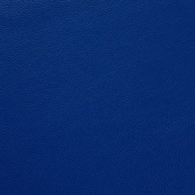 Shelly Deep Ultramarine swatch