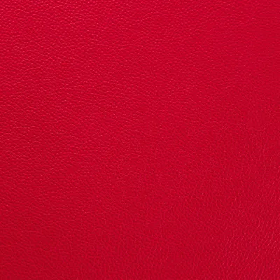 Shelly Poppy swatch