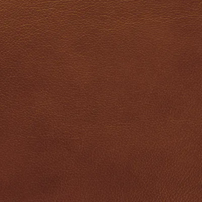 Shelly Castagna swatch