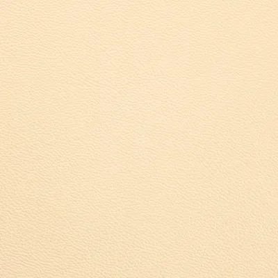 Shelly Cream swatch