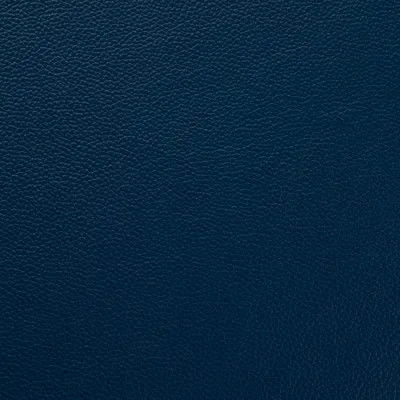 Shelly Majolica Blue swatch