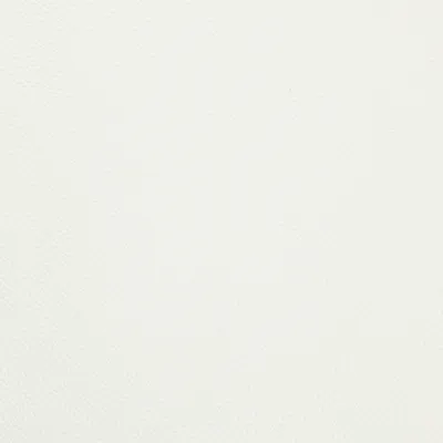 Shelly Winter White swatch