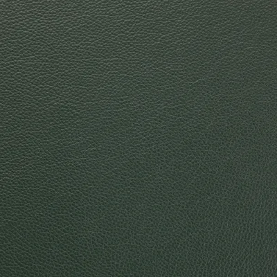 Shelly Forest Green swatch