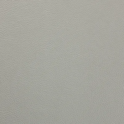 Shelly Moon Mist swatch
