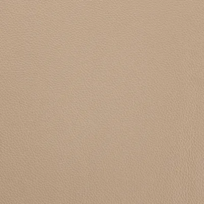 Shelly Stone swatch