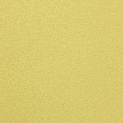 Shelly Chartreuse swatch