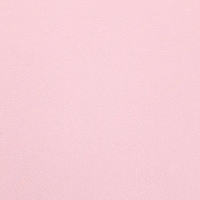 Shelly Blossom swatch