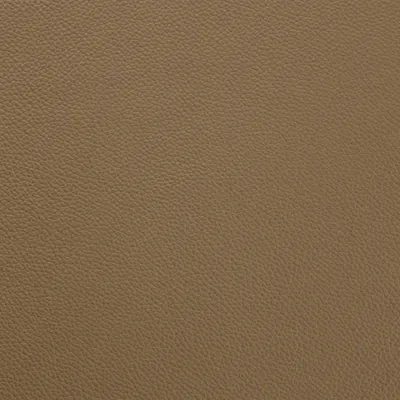 Shelly Golders Green swatch