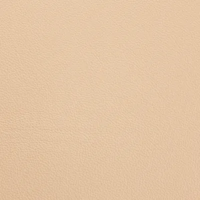 Shelly Somerset Stone swatch