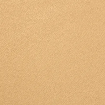 Shelly Angel swatch