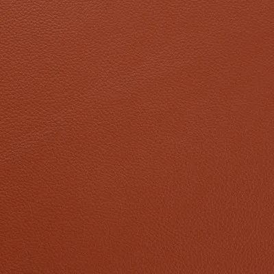 Shelly Spice swatch