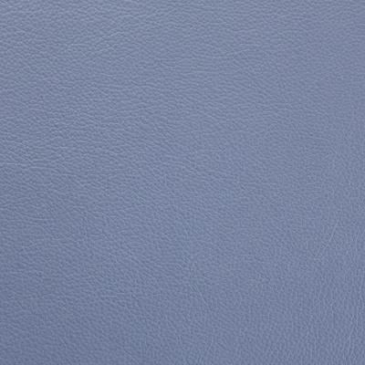 Shelly Iceblast swatch