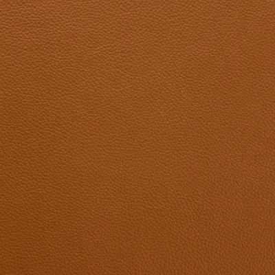 Shelly Saddle swatch
