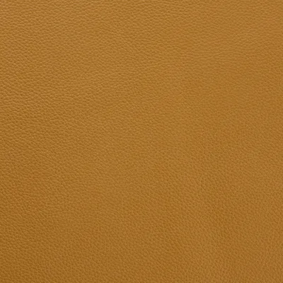 Shelly Parchment swatch