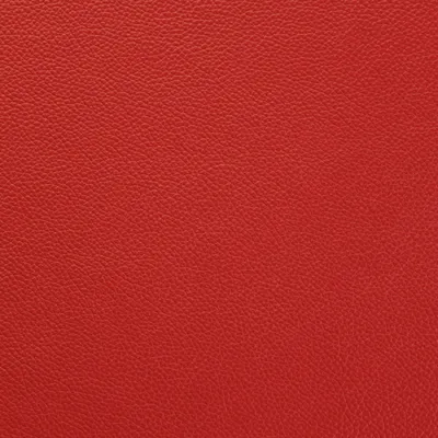 Shelly Crimson swatch