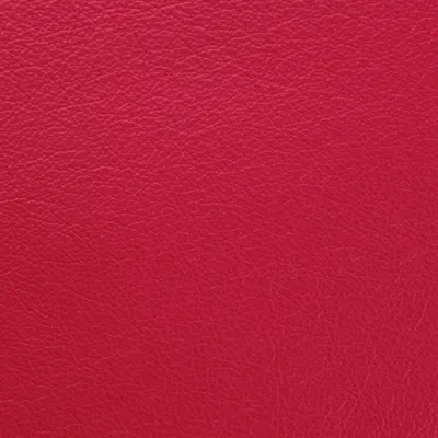 Shelly Velvet Red swatch