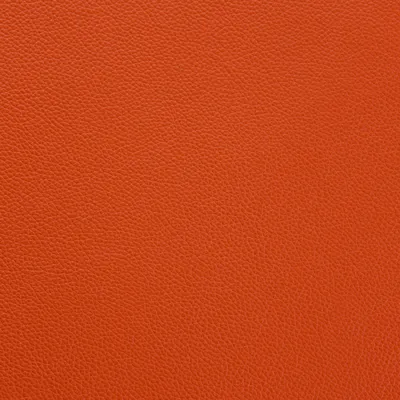 Shelly Firestone swatch