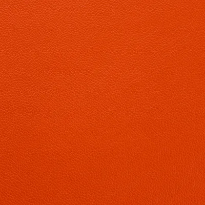Shelly Flamenco swatch