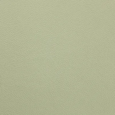 Shelly Pea Green swatch